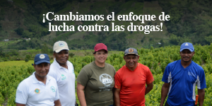 Cambio de enfoque en lucha contra las drogas