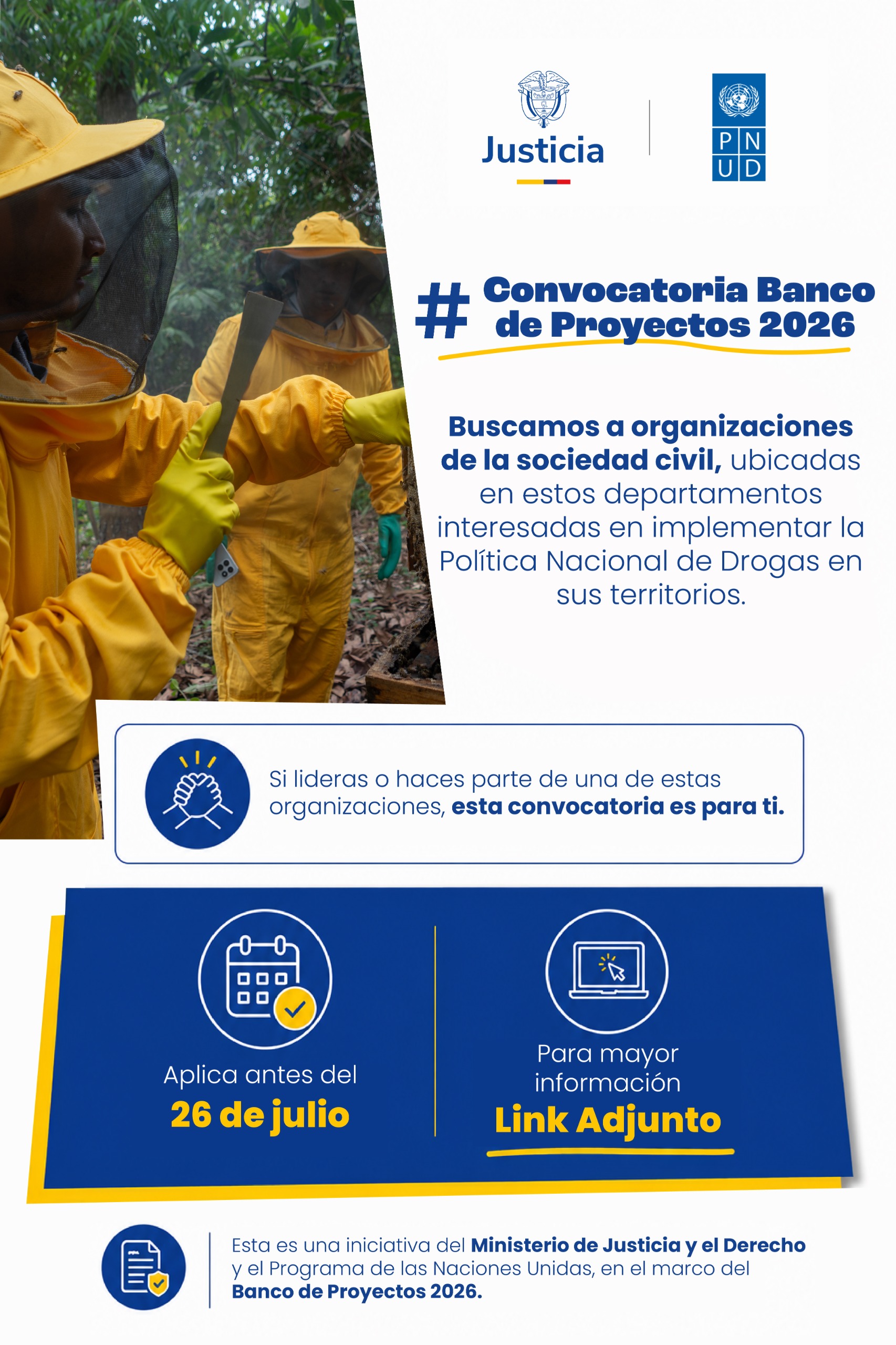 B Proyectos 2.jpg